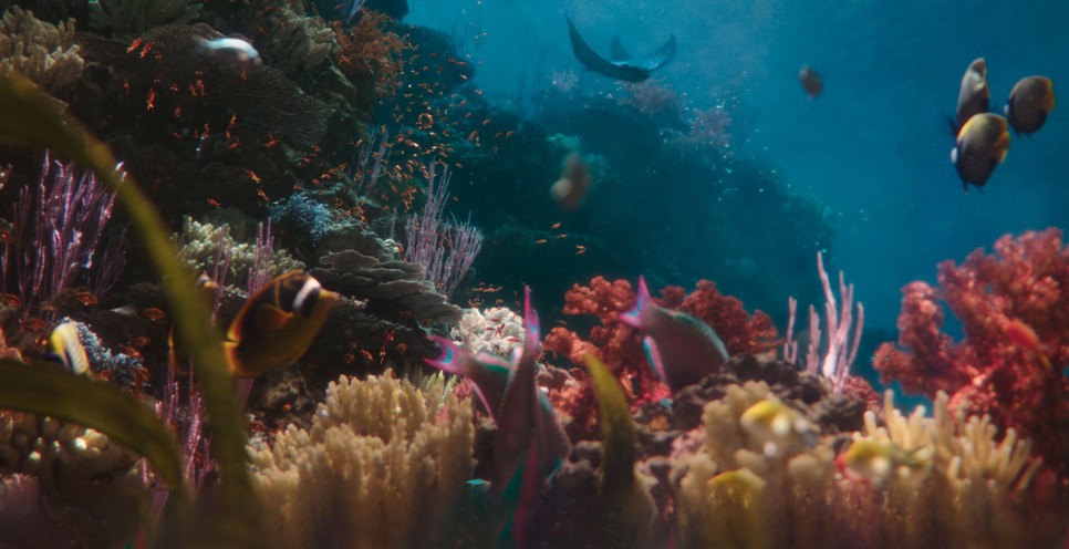 Fenntartható nyaralási tippek: hogy az unokáid is élvezhessék majd a természetet