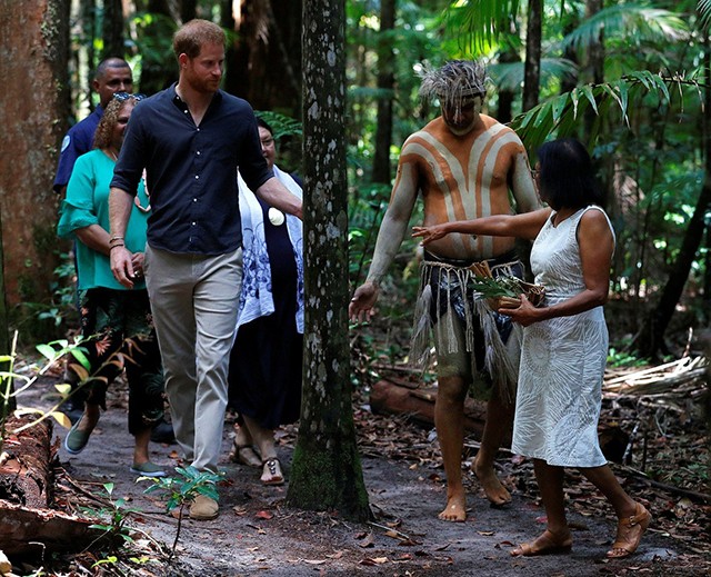 Harry herceg Ausztralia