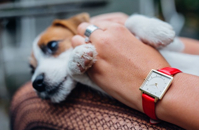 Ajándékozz négyszögletes órát karácsonyra: ez aztán a különleges meglepetés