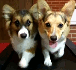 Eddzetek együtt: a legjobb páros gyakorlatok