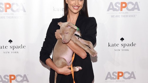 Elolvadsz! Irina Shayk egy hihetetlenül cuki kiskutyával
