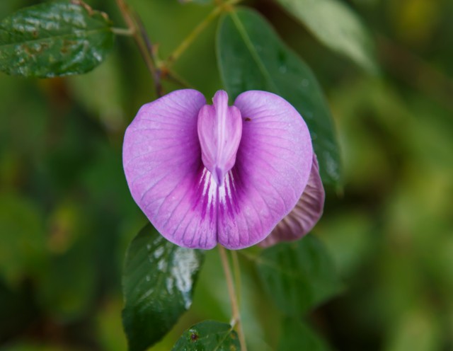 Ezt sosem szabadna megtenned a vagináddal: mégis trendnek számít...