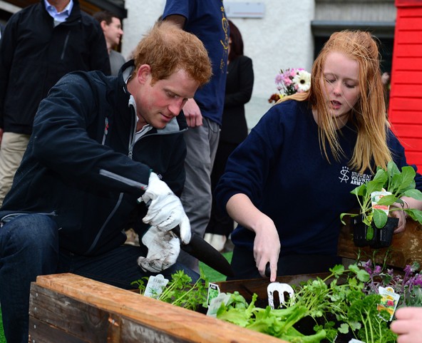 Ilyen programokon a bátyus karba tett kézzel szokta figyelni, hogy bájos felesége dolgozik, de nem úgy Harry!