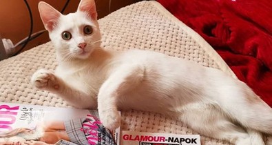 Így készültök ti a GLAMOUR-napokra