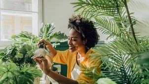 Készülj fel egy külső és belső tavaszi nagytakarításra a feng shui jegyében