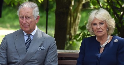 A rendőrségnek kellett közbeavatkozni Károly király ünnepi ebédje után