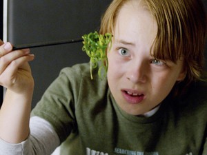 Környezettudatosan táplálkoznál? Erre érdemes figyelned