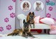 A négylábú kedvencek magabiztosan vették birtokba a GLAMOUR &WE LOVE DOGZ Mancsparty helyszínét