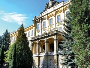 Hidegvizes merítés, a betegek leforrázása, elektrosokk és bódítószerek - ilyenek voltak Lipótmező mindennapjai