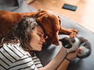 Most akkor megbetegedhet egy háziállat a klímától vagy nem? A szakértő végre elárulta a választ