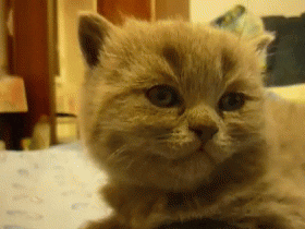 Ma egy kis pihenésre és több alvásra van szükséged - Egymondatos horoszkóp: december 26. csütörtök