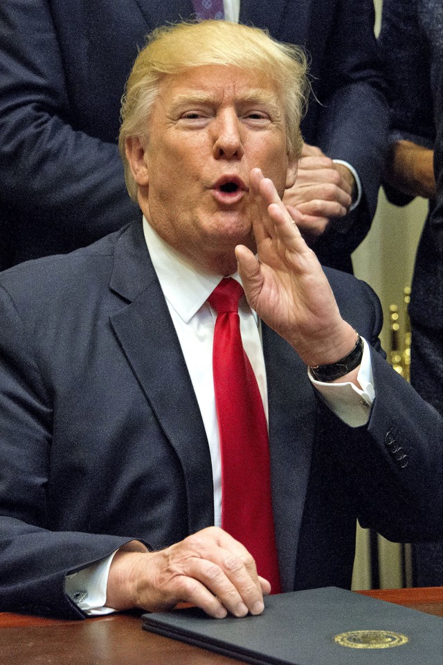 Donald Trump amerikai elnök