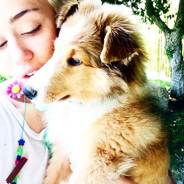 Miley és Emu teljesen elválaszthatatlanok.