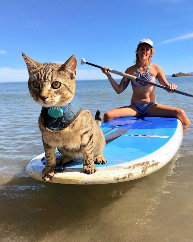 Ők inkább a van life életmódot választották a hétköznapok helyett, és most boldogabbak mint valaha