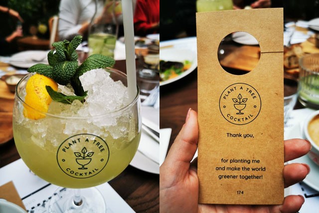 Őserdő nyílt a belvárosban: 500 növény között szürcsölheted el kedvenc koktélodat