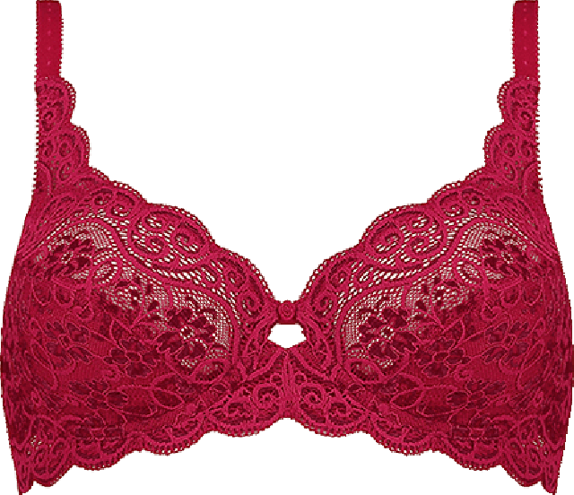 Egy kis divattöri: Így fejlődött a Triumph legikonikusabb kollekciója!