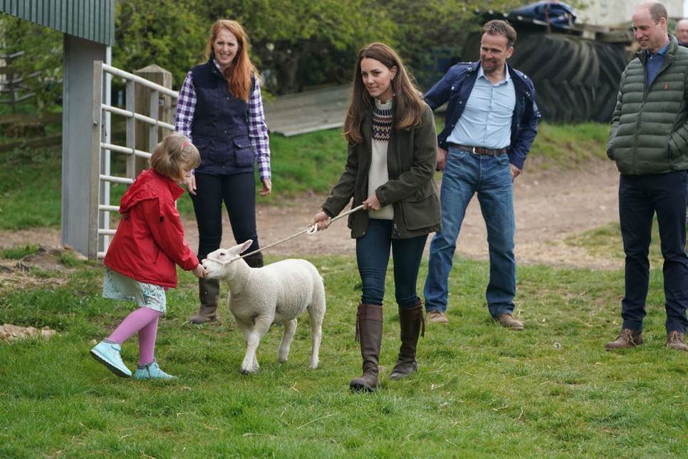Katalin hercegné a vidéki sikk nagymestere