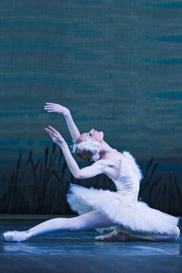 Balett a javából! A hattyúk tava Budapestre érkezik