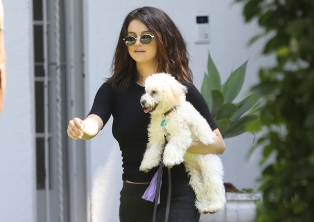 Selena Gomez új kutyája