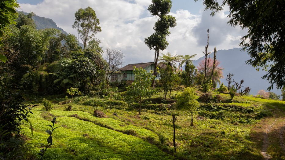 A világ első organikus állama