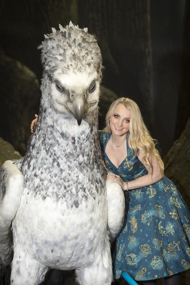 Evanna Lynch haja