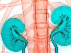 10 jel, hogy baj lehet a veséddel