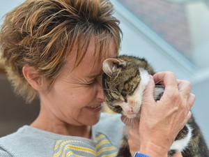 13 év után látta újra gazdáját ez a cica, a reakciójától pedig te is elsírod magad