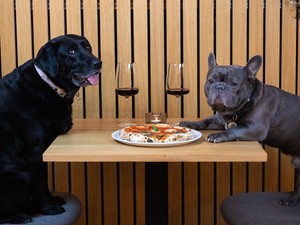 Magyarország vezető helyen van Európában ebben