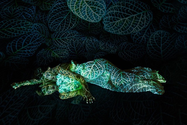 3+1 tipp Annoni Zitától: Hozd elő magadból a benned rejlő fotóst