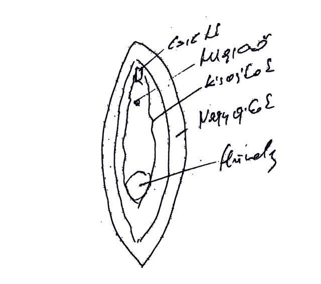 De hol is van a G-pont, srácok?
