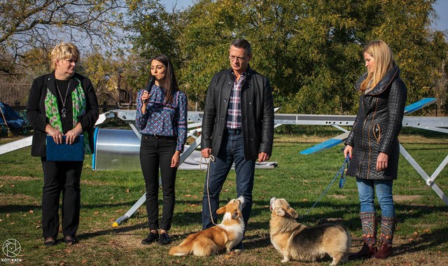 Sikkesen állt fontos ügy mellé Boggie