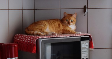 8+1 trükk a mikrohullámú sütővel, ami megkönnyíti az életed