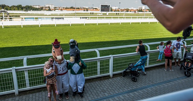 New York és Párizs is a magyar mintát követi