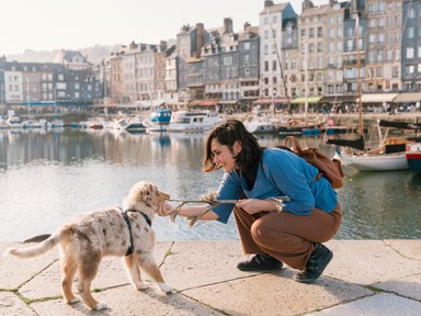 Így járom be a világot szinte ingyen, és közben másoknak is segítek vele