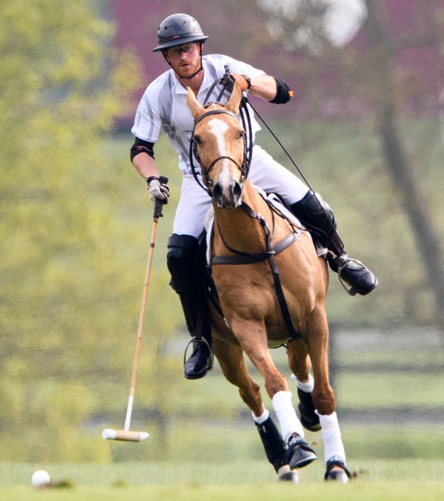 Harry herceg a pályán, barátnője a lelátón