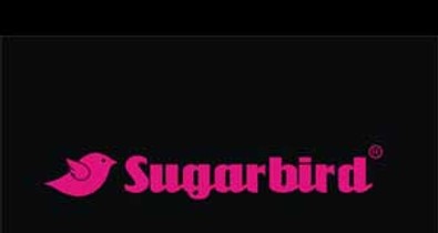 Sugarbird