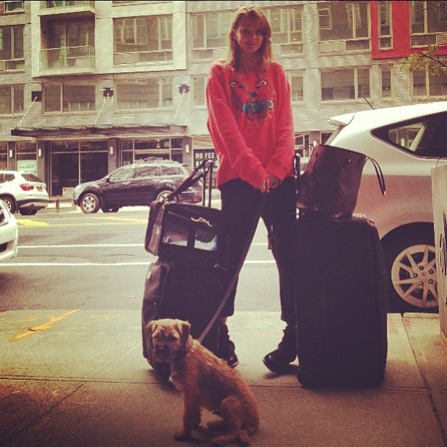 Mihalik Enikő nyaralni készül és a kutyája is vele utazik a repülőn.