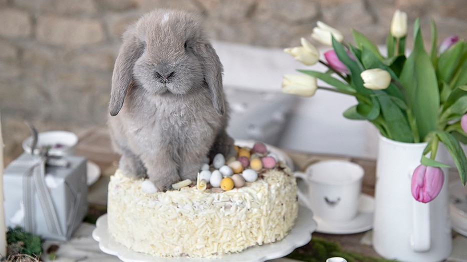  Nyuszik mindenhol: íme a legédesebb húsvéti dekorációk