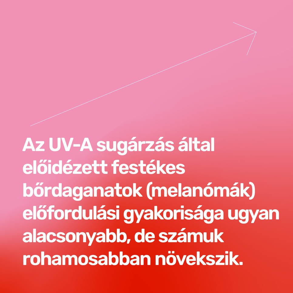 Illusztráció: Lamm Lenke