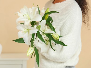 Jó, ha tudod: Ez a 10 virág nagyon negatív jelentéssel bír, messziről kerüld el őket