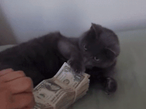 5 okos ötlet, hogy ne pénzügyi katasztrófával induljon a következő éved