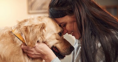 5 előny az életben, amit csak azok élveznek, akiknek van kutyájuk