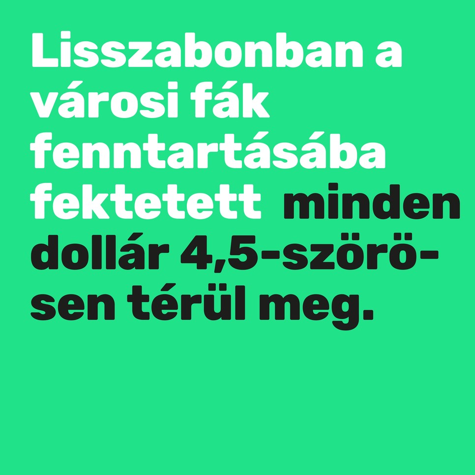 A városi fák többet érnek, mint gondolnánk