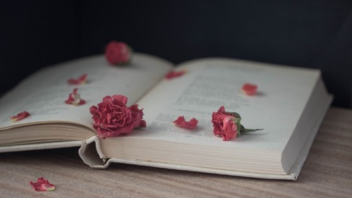 Kvíz: Melyik versből származik az idézet? Teszteld le, mennyire vagy jó magyar irodalomból!