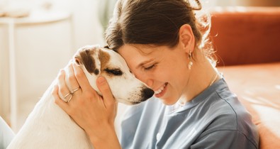 5 kutyafajta, ami annyira független és önbizalommal teli, hogy tökéletesen el lesz, amíg te dolgozol