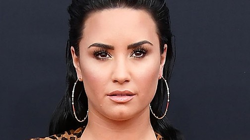 Demi Lovatót lekövérezték, úgy visszaszólt, hogy az emberek tuti elszégyellték magukat