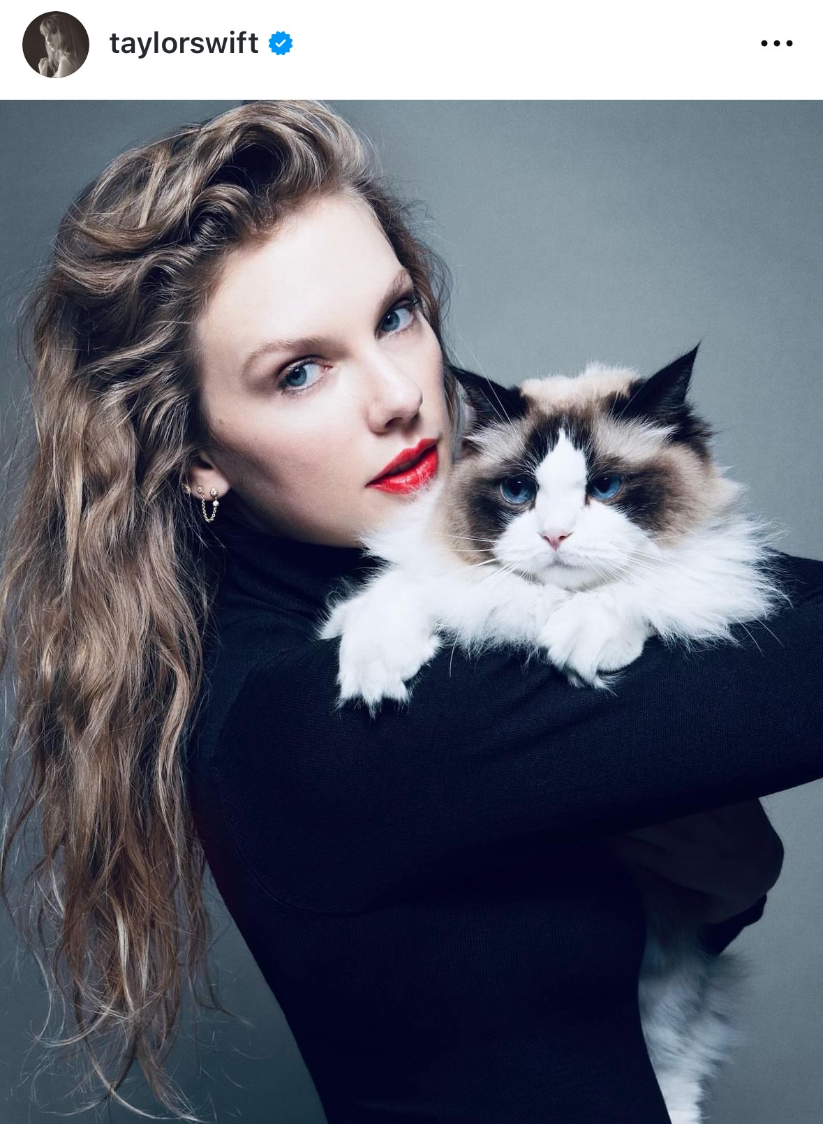 A világhírű énekesnő, Taylor Swift macskájával pózolva osztott meg egy képet, megcáfolva a pletykákat, miszerint Donald Trumpra szavazna. Így üzent: „Kamala Harrisre és Tim Walzra fogok szavazni a 2024-es választáson. Kamala Harris mellett szól, hogy a női jogokért és olyan ügyekért harcol, amelyek számomra fontosak, Tim Walz pedig évek óta kiáll az LGBTQ+ jogok, az IVF és a nők önrendelkezése mellett.”