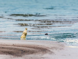 Egyre kevesebb a víz és még az is egyre rosszabb a klímaváltozás miatt