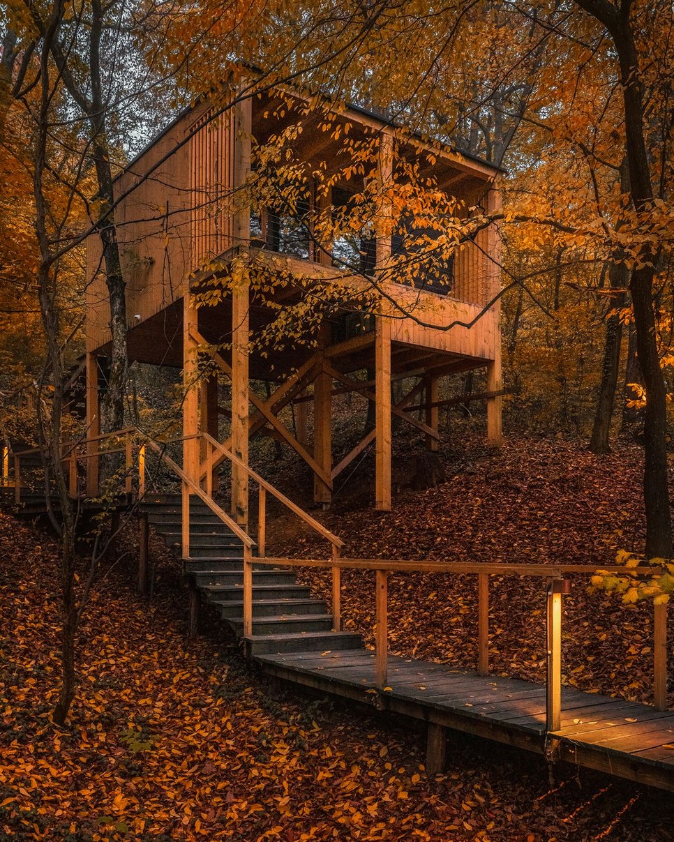 GLAMOUR kuponnal 25% kedvezmény a Noszvaj Treehouses ajánlataira - treehouses.hu