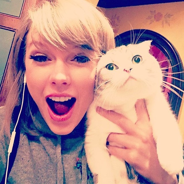 Taylor Swift és macskája